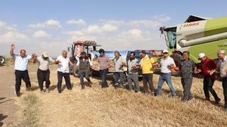 Garzan Ovası'nda buğday hasadı halaylarla başladı