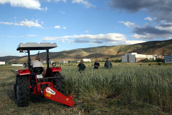 Muş'ta karışım halinde yapılan yem bitkisi ekim denemesi başarılı geçti G4