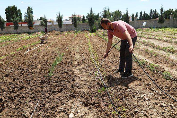 Caminin atıl durumdaki bahçesini meyve ve sebze bahçesine dönüştürdüler G1