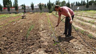 Caminin atıl durumdaki bahçesini meyve ve sebze bahçesine dönüştürdüler