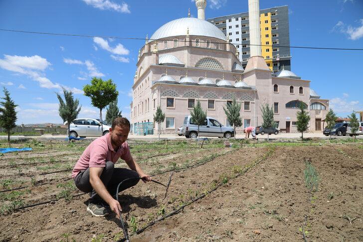 Caminin atıl durumdaki bahçesini meyve ve sebze bahçesine dönüştürdüler G2