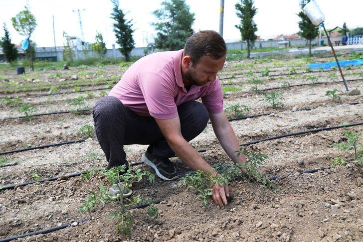 Caminin atıl durumdaki bahçesini meyve ve sebze bahçesine dönüştürdüler G3