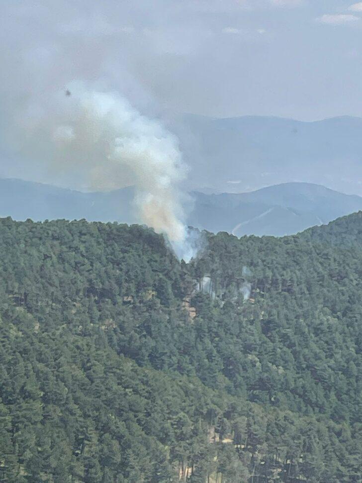 GÜNCELLEME - İzmir'in Kemalpaşa ilçesindeki orman yangını kontrol altına alındı