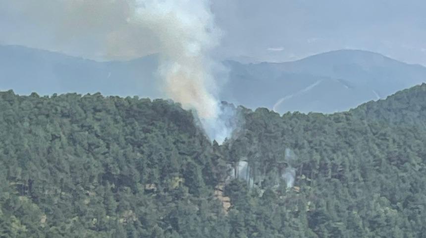 İzmir'in Kemalpaşa ilçesinde orman yangını çıktı