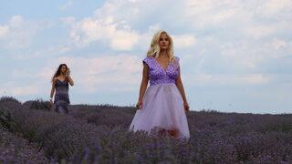 Tekirdağ 2. Lavanta Günleri etkinlikleri devam ediyor