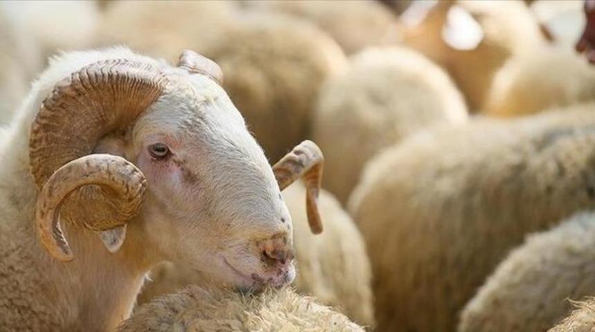 Kurban Bayramı tatili ne zaman? 2022 Kurban Bayramı tatili kaç gün olacak, 9 gün olacak mı?