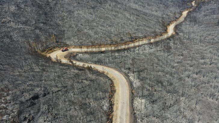 Marmaris'te yanan ormanlık alanda soğutma çalışmaları sürüyor G1