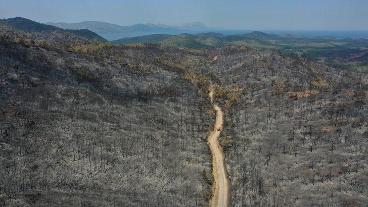Marmaris'te yanan ormanlık alanda soğutma çalışmaları sürüyor G2