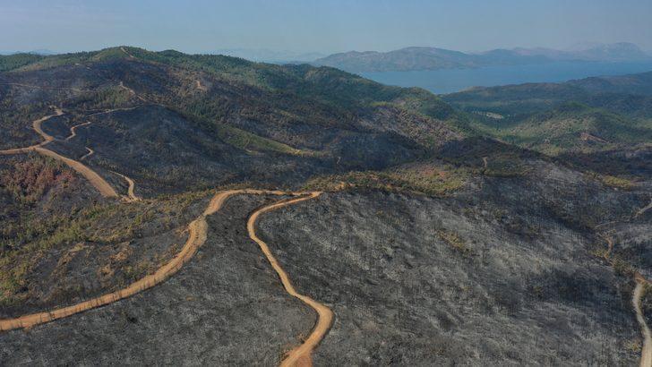 Marmaris'te yanan ormanlık alanda soğutma çalışmaları sürüyor G3