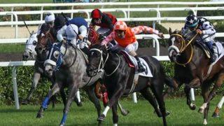 Gazi koşusu saat kaçta hangi kanalda canlı izlenecek? 96. Gazi Koşusu safkanları ve yarışacak jokeyler kimler?