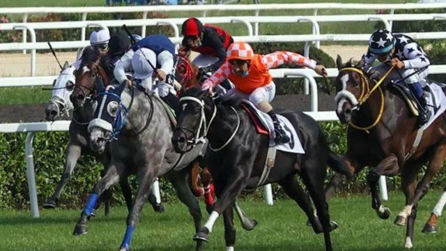 Gazi koşusu saat kaçta hangi kanalda canlı izlenecek? 96. Gazi Koşusu safkanları ve yarışacak jokeyler kimler?