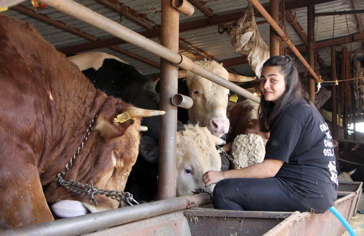 Baba mesleği hayvancılığı devam ettiren iki kız kardeş kurbanlık satışı yapıyor G2