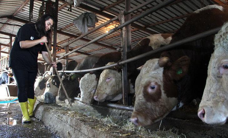 Baba mesleği hayvancılığı devam ettiren iki kız kardeş kurbanlık satışı yapıyor G4