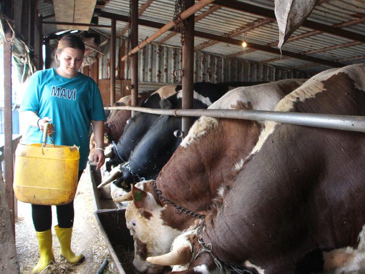 Baba mesleği hayvancılığı devam ettiren iki kız kardeş kurbanlık satışı yapıyor G5