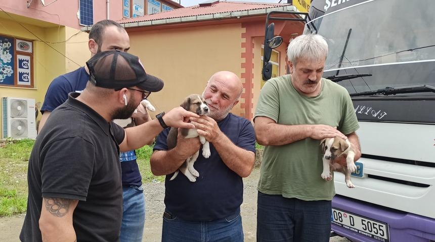 Artvin'de dereye düşen köpek ve yavrularını vatandaşlar kurtardı