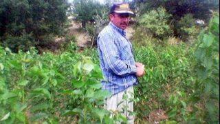 Eşini döverek öldürdü