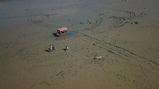 Burdur'da balçıklaşan alanda mahsur kalan 96 koyun kurtarıldı