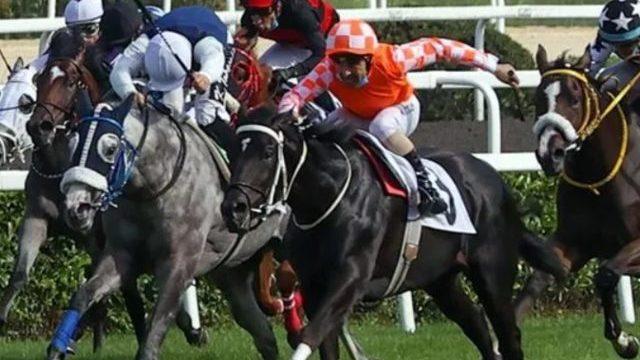 96. Gazi Koşusu'nu kim kazandı? 96. Gazi Koşusu'nun kazananı kim oldu?