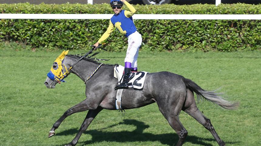 Son dakika: 96. Gazi Koşusu'nun kazananı Secret Power oldu! Gazi Koşusu'nun ikramiyesi ne kadar?