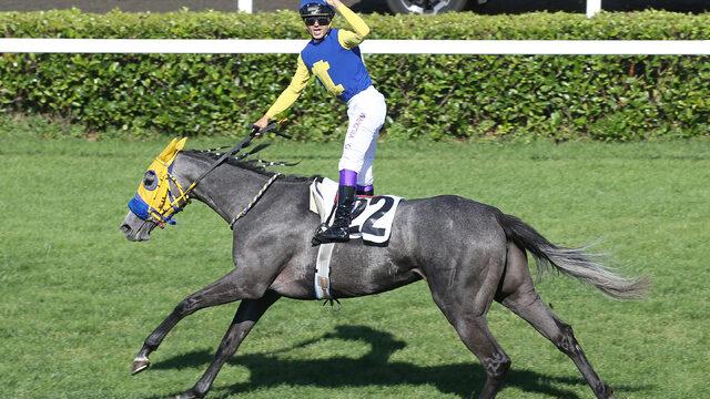 Son dakika: 96. Gazi Koşusu'nun kazananı Secret Power oldu! Gazi Koşusu'nun ikramiyesi ne kadar?