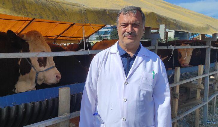 İstanbul'da kurulan pazarlarda kurbanlık satışları hızlı başladı G1