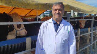 İstanbul'da kurulan pazarlarda kurbanlık satışları hızlı başladı