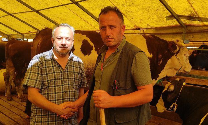 İstanbul'da kurulan pazarlarda kurbanlık satışları hızlı başladı G2