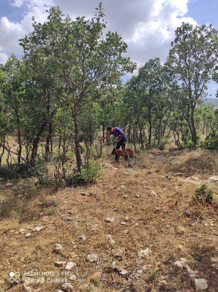 Diyarbakır'da kayıp epilepsi hastası kadın için arama çalışması başlatıldı G3