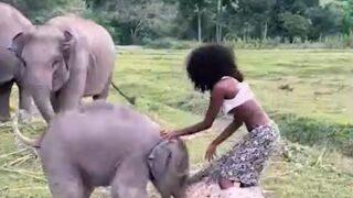 Ünlü model Megan Milan’ın zor anları! Sevmeye çalıştığı fil eteğini açtı