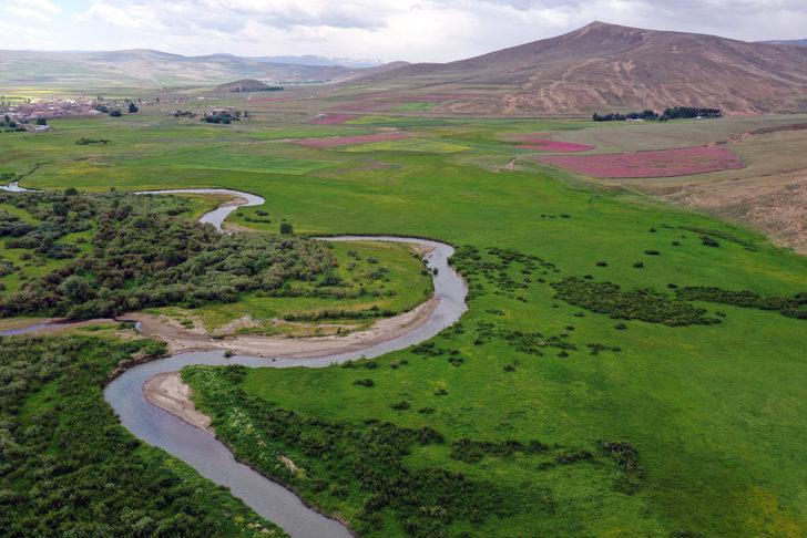 Ağrı'da rengarenk çiçeklerle kaplanan tarlalar ve dağlar dronla görüntülendi G2