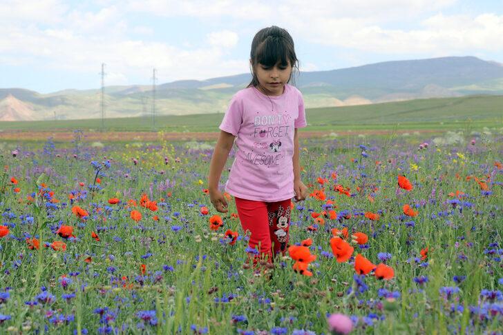 Ağrı'da rengarenk çiçeklerle kaplanan tarlalar ve dağlar dronla görüntülendi G4