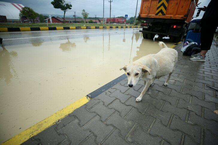 Bartın'da sağanak nedeniyle bazı evlerin bodrum katını su bastı, ulaşım aksadı G1