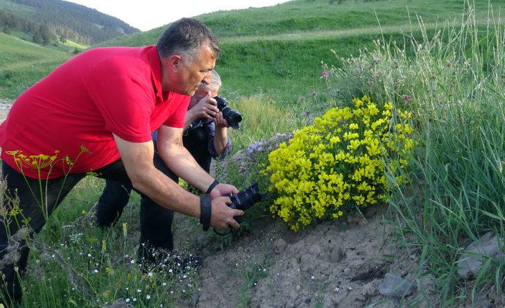 Sarıkamış'ta fotoğrafçılar rengarenk çiçekler ve kelebekleri görüntüledi G5