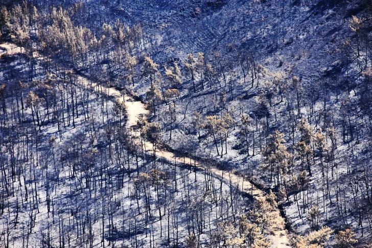 Marmaris'te yanan orman alanı havadan görüntülendi G1