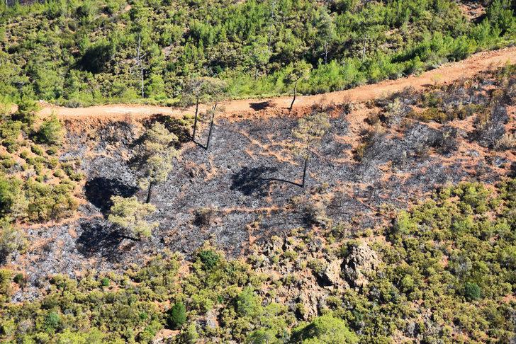 Marmaris'te yanan orman alanı havadan görüntülendi G2