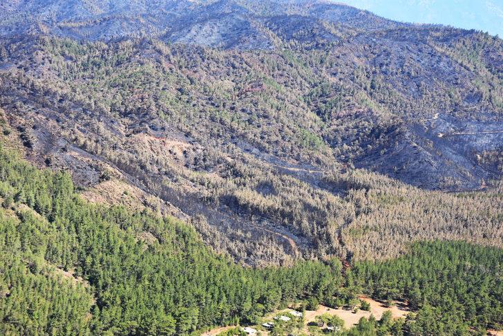 Marmaris'te yanan orman alanı havadan görüntülendi G4