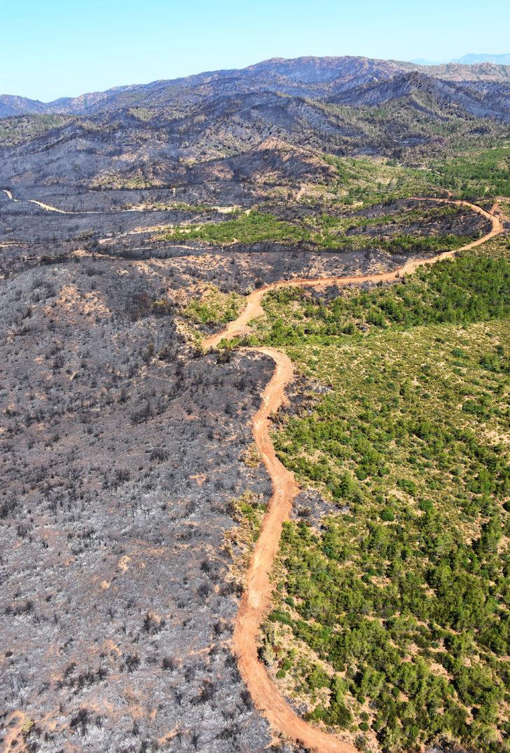 Marmaris'te yanan orman alanı havadan görüntülendi G5