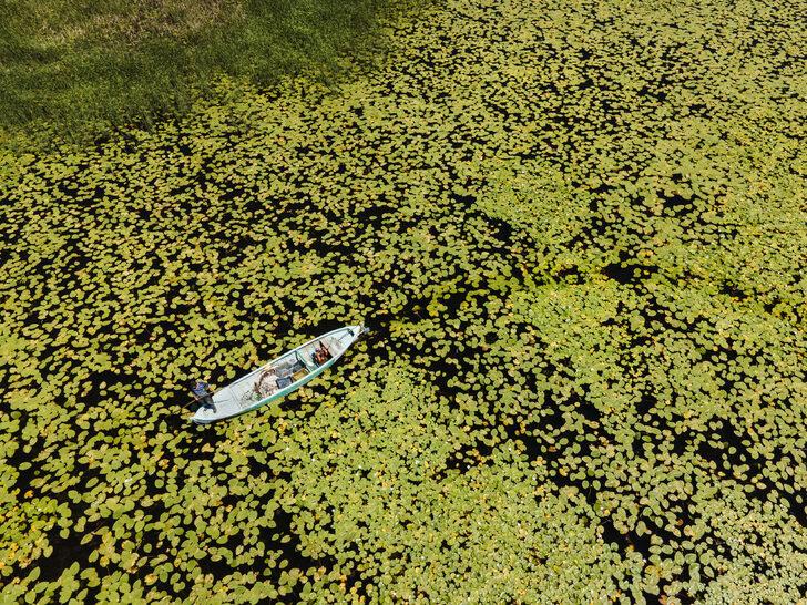 Beyşehir Gölü'ndeki nilüferler bölgenin cazibesini artırdı G1