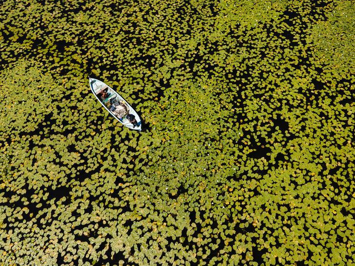 Beyşehir Gölü'ndeki nilüferler bölgenin cazibesini artırdı G2