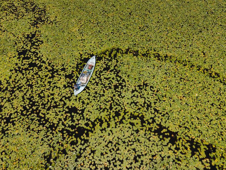 Beyşehir Gölü'ndeki nilüferler bölgenin cazibesini artırdı G4