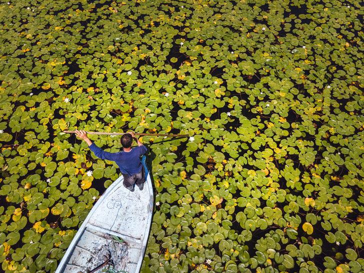 Beyşehir Gölü'ndeki nilüferler bölgenin cazibesini artırdı G5