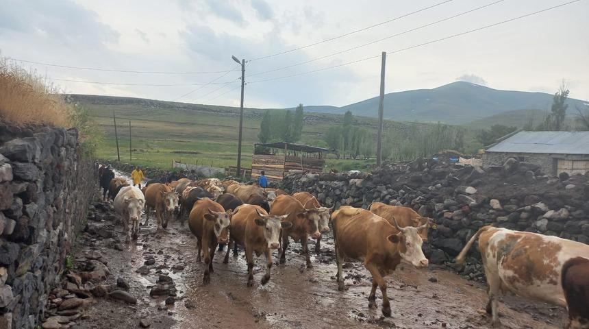 Kars'ta yağış taşkınlara neden oldu