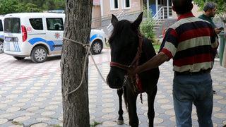 Kayseri'de atını aracına bağlayıp götüren kişi hakkında soruşturma başlatıldı