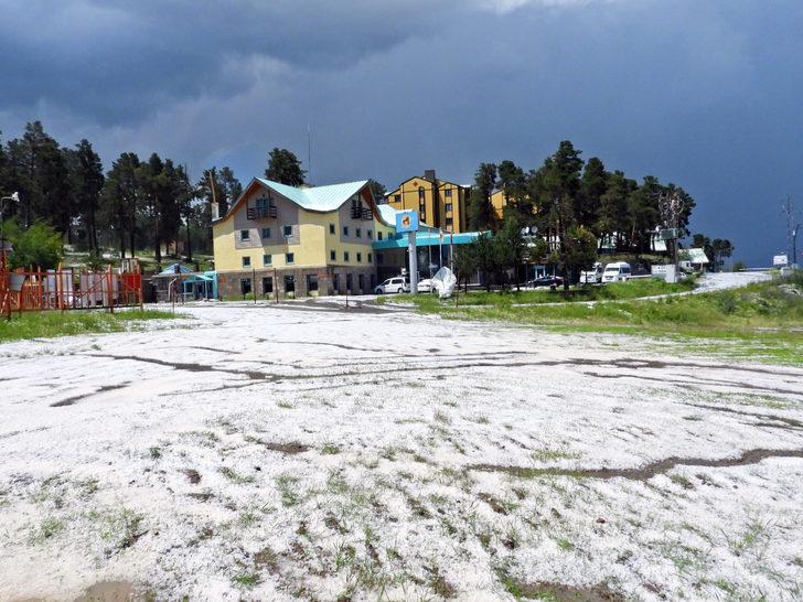 Kars'ın Sarıkamış ilçesinde dolu etkili oldu G2