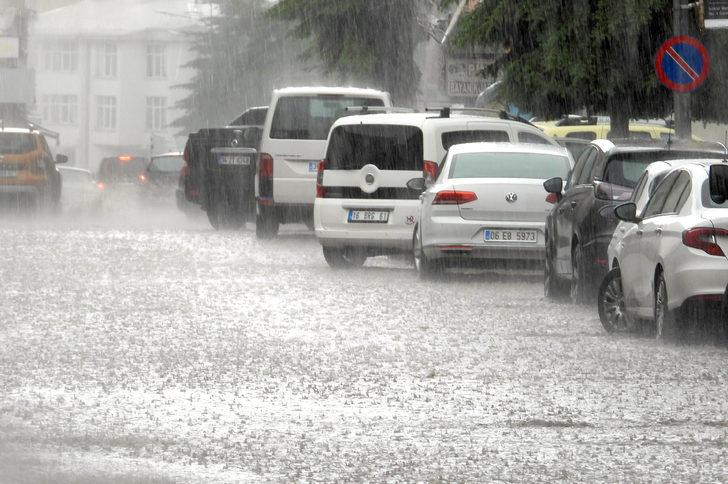 Kars'ın Sarıkamış ilçesinde dolu etkili oldu G4