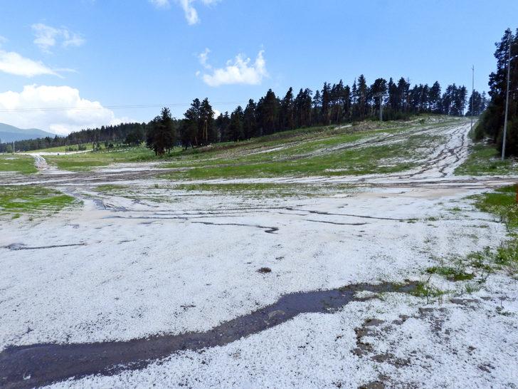 Kars'ın Sarıkamış ilçesinde dolu etkili oldu G5