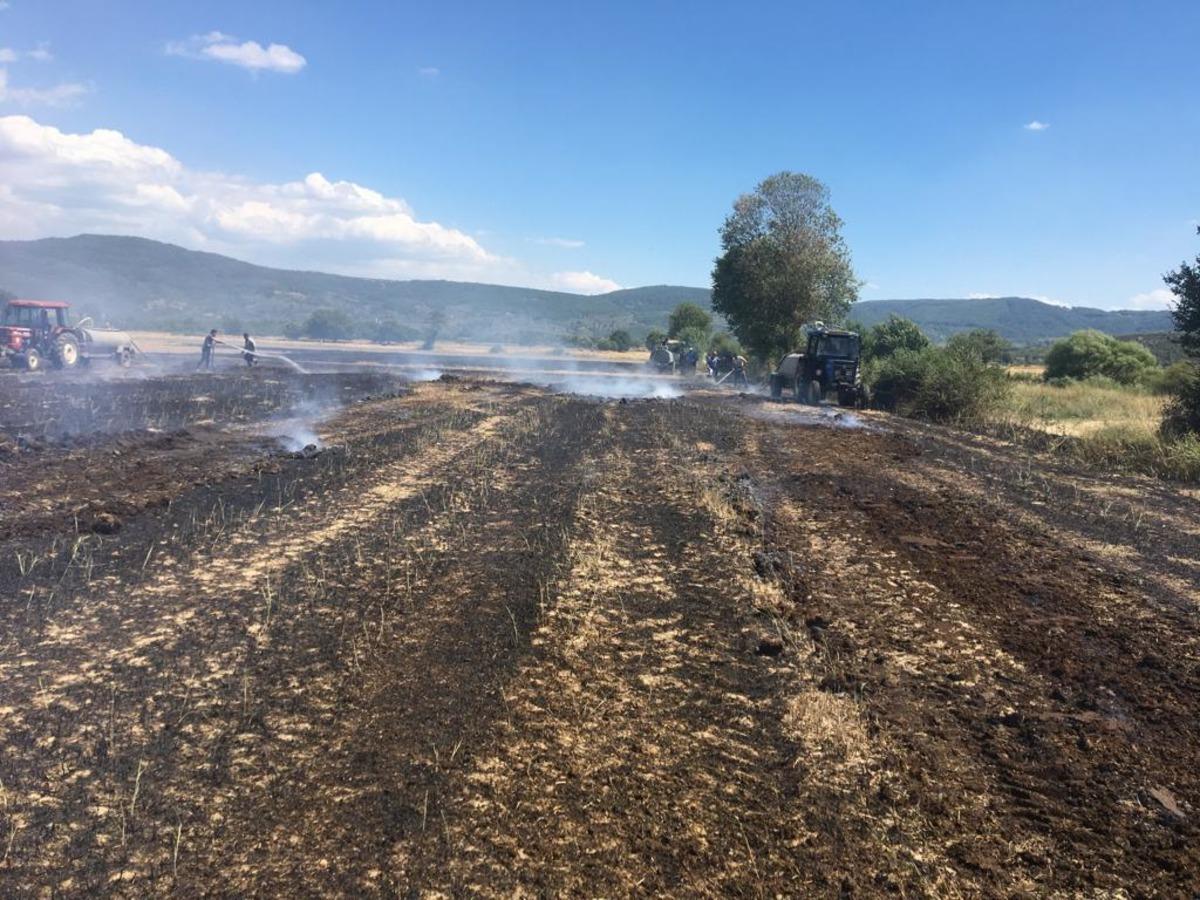 Muğla'da zeytinlik ve anızların bulunduğu alanlarda &ccedil;ıkan yangınlar s&ouml;nd&uuml;r&uuml;ld&uuml;
