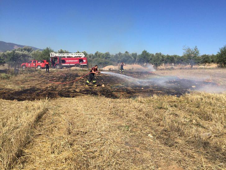 Muğla'da zeytinlik ve anızların bulunduğu alanlarda çıkan yangınlar söndürüldü G3