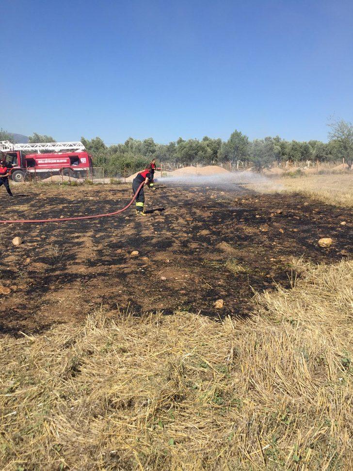Muğla'da zeytinlik ve anızların bulunduğu alanlarda çıkan yangınlar söndürüldü G5