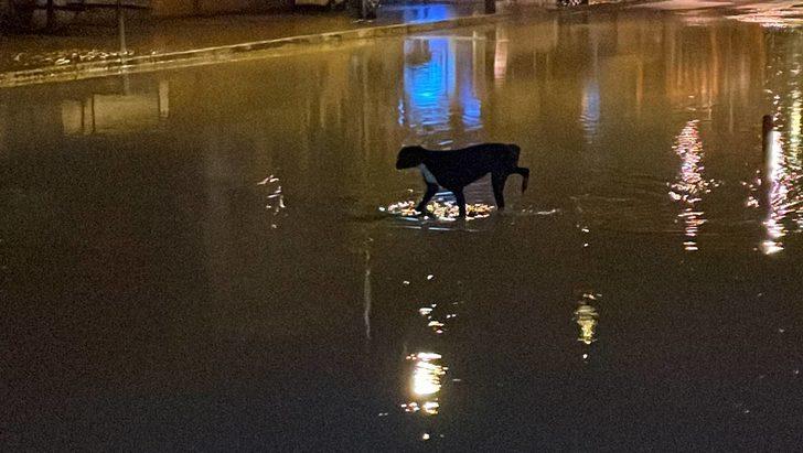 GÜNCELLEME 3 - Karabük'te sağanak hayatı olumsuz etkiledi G3